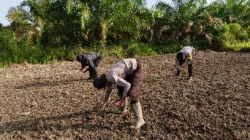 Dukung Swasembada Pangan 2026, Polsek Kenohan Tanam Jagung Serentak di Lahan Satu Hektar