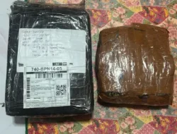Ungkap Peredaran Narkoba, Ditresnarkoba Polda Kaltim Amankan Tersangka Dengan 1 Kg Ganja di Balikpapan