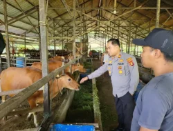 Dekatkan Diri Dengan Peternak, Kapolsek Loa Kulu Pantau Kamtibmas dan Potensi Ekonomi Desa Loh Sumber