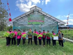 Dukung Ketahanan Pangan, Polsek Loa Kulu Bersama Bhayangkari Sukses Panen 164 Kg Sayur Hidroponik