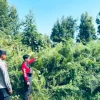 Polsek Kota Bangun Gelar Patroli dan Posko Terpadu Pencegahan Karhutla