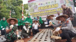 Kodim 0508/Depok Ubah Lahan Tidur Jadi Kawasan Pertanian Produktif, Dukung Swasembada Pangan