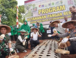 Kodim 0508/Depok Ubah Lahan Tidur Jadi Kawasan Pertanian Produktif, Dukung Swasembada Pangan