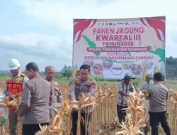 Polsek Tenggarong Seberang Laksanakan Panen Raya Jagung, Perkuat Dukungan Swasembada Pangan Nasional