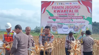 Polsek Tenggarong Seberang Laksanakan Panen Raya Jagung, Perkuat Dukungan Swasembada Pangan Nasional