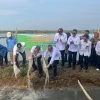 Minapadi Salin sebagai Pengembangan Padi Biosalin, PGN-BRIN Tingkatkan Produktivitas dan Nilai Ekonomi Pesisir Batang