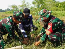 Program TMMD Ke-129 Hijaukan Desa, Wibawamulya  Warga Tanam Ratusan Pohon
