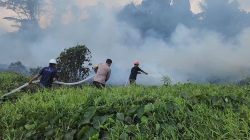 Bahu Membahu Padamkan Api, Polsek Loa Janan Bersama Gabungan Relawan Loa Janan Padamkam Kebakaran Hutan Di Desa Loa Janan Ulu