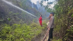 Polres Kukar Bersama Tim Gabungan Tangani Kebakaran Lahan di Tol Balsam, Api Berhasil Dipadamkan