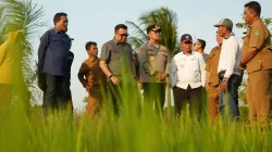 Kapolres Kukar Dampingi Bupati Monitoring Dampak Kekeringan di Sentra Pangan Kertabuana