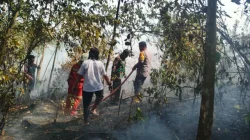 Sinergi Polsek Sangasanga Bersama TNI, Damkar dan Relawan Tangani Karhutla di Kelurahan Pendingin, Luas Lahan Terbakar Diperkirakan 50 Hektare