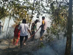 Sinergi Polsek Sangasanga Bersama TNI, Damkar dan Relawan Tangani Karhutla di Kelurahan Pendingin, Luas Lahan Terbakar Diperkirakan 50 Hektare