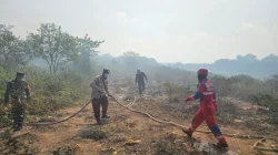 Polsek Samboja Bersama Tim Gabungan Padamkan Karhutla Seluas 7 Hektare di Wonotirto