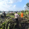 Polsek Tenggarong Bersama BPBD dan Relawan Padamkan Kebakaran Lahan di Kelurahan Melayu