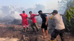 Karhutla di Pendingin Sanga Sanga, Petugas Gabungan Bergerak Padamkan Api