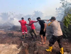 Karhutla di Pendingin Sanga Sanga, Petugas Gabungan Bergerak Padamkan Api