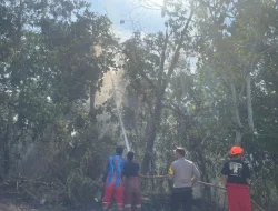 Polsek Muara Jawa Bergerak Cepat Kendalikan Kebakaran Hutan di Kelurahan Dondang