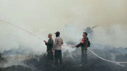 Libatkan Puluhan Personel, Polsek Muara Muntai Bersama Tim Gabungan Padamkan Karhutla 2,5 Hektare