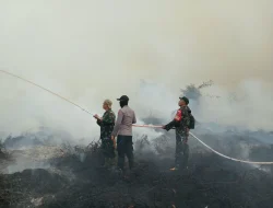 Libatkan Puluhan Personel, Polsek Muara Muntai Bersama Tim Gabungan Padamkan Karhutla 2,5 Hektare