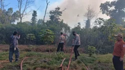 Enam Jam Berjibaku, Tim Gabungan Berhasil Padamkan Karhutla 10 Hektare di Samboja