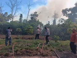 Enam Jam Berjibaku, Tim Gabungan Berhasil Padamkan Karhutla 10 Hektare di Samboja