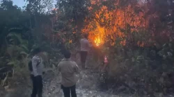 Gerak Cepat Polsek Muara Jawa Bersama Tim Gabungan Jinakkan Karhutla Seluas 1,5 Hektare
