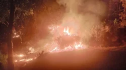 Api Lahap Lahan Warga di Mulawarman, Polisi dan Tim Gabungan Bergerak Cepat Cegah Meluas