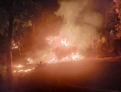 Api Lahap Lahan Warga di Mulawarman, Polisi dan Tim Gabungan Bergerak Cepat Cegah Meluas