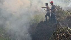 Api Membara di Lahan Gambut Karang Tunggal, Polisi dan Tim Gabungan Bergerak Cepat Cegah Meluas