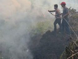 Api Membara di Lahan Gambut Karang Tunggal, Polisi dan Tim Gabungan Bergerak Cepat Cegah Meluas