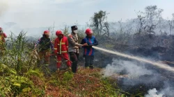 4 Hektare Lahan Gambut Terbakar di Bukit Raya, Polsek Tenggarong Seberang Ingatkan Warga: Jangan Main Api!