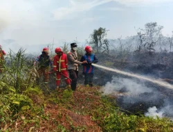 4 Hektare Lahan Gambut Terbakar di Bukit Raya, Polsek Tenggarong Seberang Ingatkan Warga: Jangan Main Api!