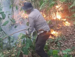 Bara Batubara Kembali Menyala, 2 Hektare Lahan di Loa Janan Terbakar