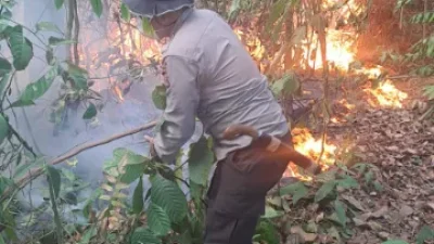 Bara Batubara Kembali Menyala, 2 Hektare Lahan di Loa Janan Terbakar