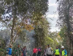 Diduga Berawal dari Bakar Sampah, Karhutla di Loa Janan Meluas hingga Tebing