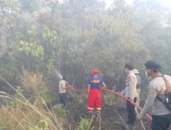 Bukan Sekadar Asap, Karhutla 5 Hektare di Muara Kaman Jadi Peringatan Bahaya Lahan Gambut