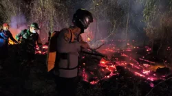 Api Menjalar di Lahan 2 Hektare, Petugas Berjibaku Hingga 5 Jam di Kota Bangun