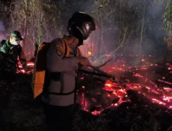 Api Menjalar di Lahan 2 Hektare, Petugas Berjibaku Hingga 5 Jam di Kota Bangun