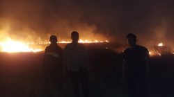 Api di Perbatasan Tenggarong-Sebulu, Lahan Seluas 3 Hektare Berhasil Dilokalisir