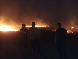 Api di Perbatasan Tenggarong-Sebulu, Lahan Seluas 3 Hektare Berhasil Dilokalisir