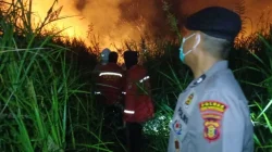 Karhutla 3 Hektare di Sebulu Padam Setelah Petugas Berjibaku hingga Tengah Malam, Empat Obor Ditemukan di Lokasi