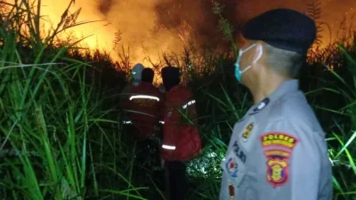 Karhutla 3 Hektare di Sebulu Padam Setelah Petugas Berjibaku hingga Tengah Malam, Empat Obor Ditemukan di Lokasi
