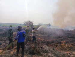 Api Mengganas di Lahan Gambut Sanga Sanga, Tim Gabungan Berjuang 6 Jam Selamatkan Lingkungan