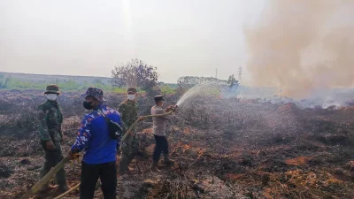 Api Mengganas di Lahan Gambut Sanga Sanga, Tim Gabungan Berjuang 6 Jam Selamatkan Lingkungan