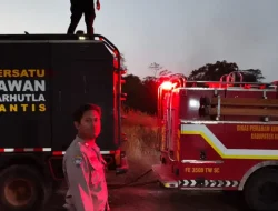 Api Membakar 2 Hektare Lahan di Muara Jawa, Tim Gabungan Bergerak Cepat
