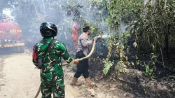 Api Mengintai Perkebunan Karet Samboja, Tim Gabungan Bergerak Cepat Sebelum Meluas