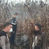 Terungkap! Polisi Amankan Pria Diduga Bakar Lahan di Kawasan Otorita IKN Loa Janan