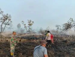 Polsek Muara Kaman Cek Hotspot di Rawa Gambut, Ditemukan Sisa Asap Tanpa Api