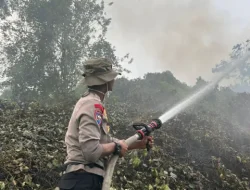 Api Membara di Loa Ipuh Darat, Tim Gabungan Bergerak Cepat Jinakkan Karhutla