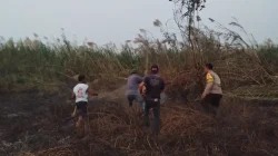 Api Membara di Lahan Gambut Loa Pari, Polisi dan Tim Gabungan Bergerak Cepat Cegah Kebakaran Meluas